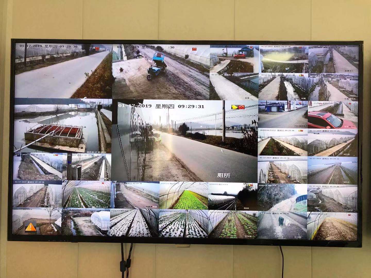 溧水真喜果蔬種植基地監(jiān)控工程